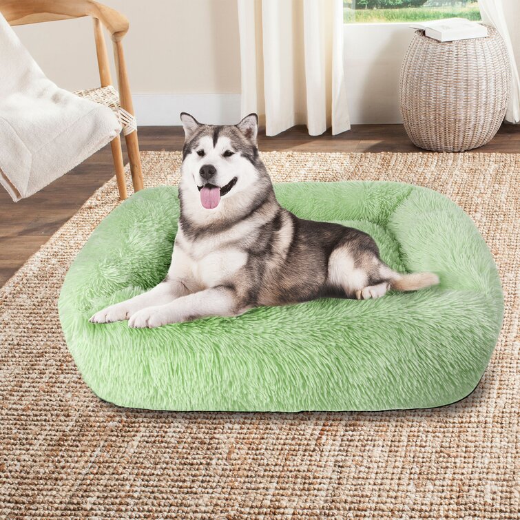 Wayfair dog sales beds canada